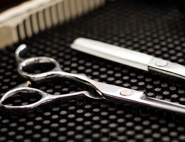 Modern prodigy electronics disassembling