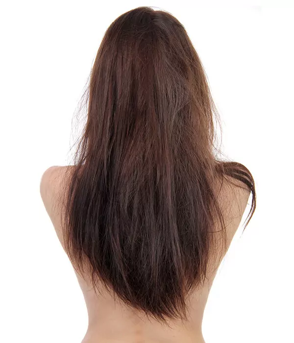 Majority of students dissatisfied